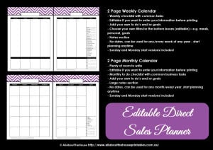 Printable Direct Sales Planner – EDITABLE – All About Planners