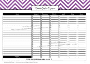 Printable Direct Sales Planner – EDITABLE – All About Planners