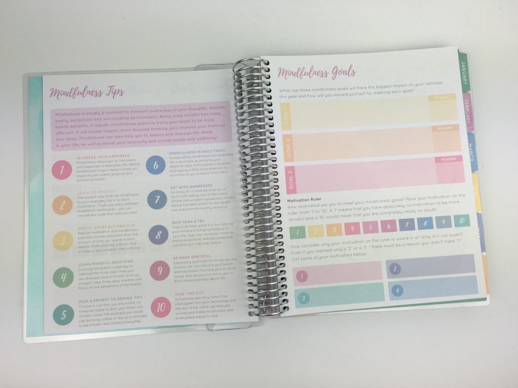 otto wellness planner review pros and cons video pastel colors cheaper alternative to erin condren similar lifestyle health fitness exercise food journal planning tips