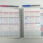Using the Otto Goals Weekly Planner (blue & pink themed weekly spread)
