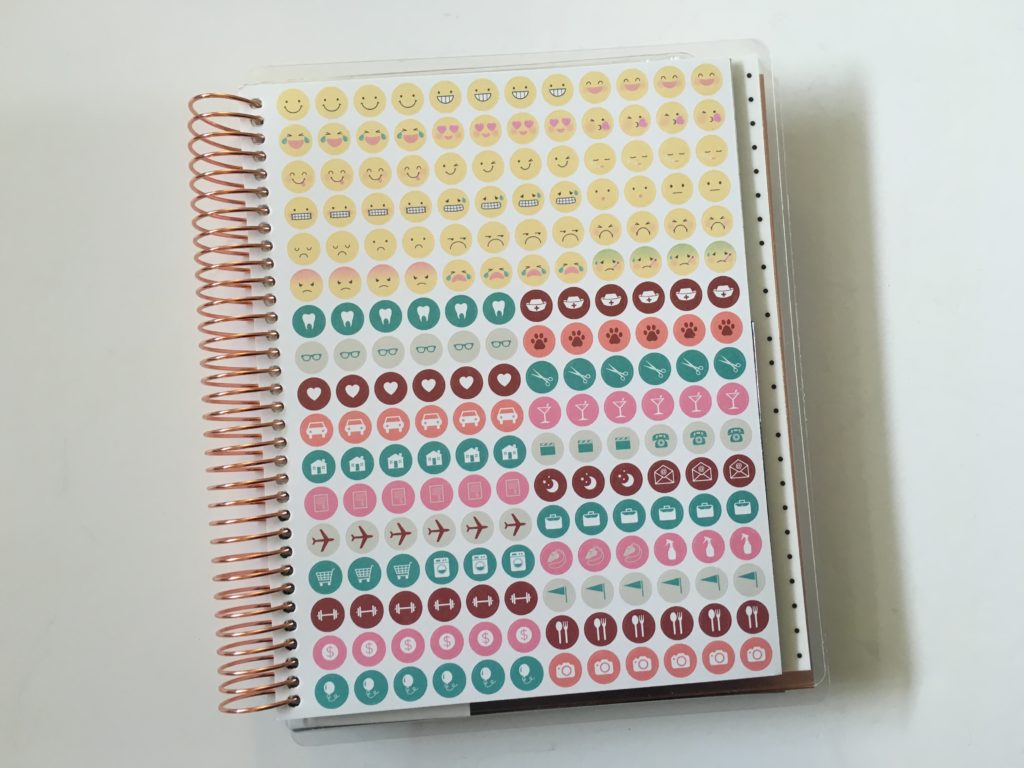 recollections weekly planner horizontal gold icon dot emoji pros and cons video review cheaper alternative to erin condren plum paper