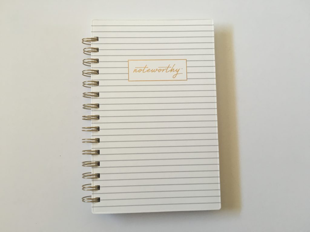 Blue Sky Noteworthy Planner Review (Pros, Cons & Video Walkthrough)