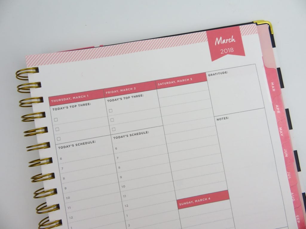 Day Designer for Blue Sky Planner Review (Pros, Cons and a video ...