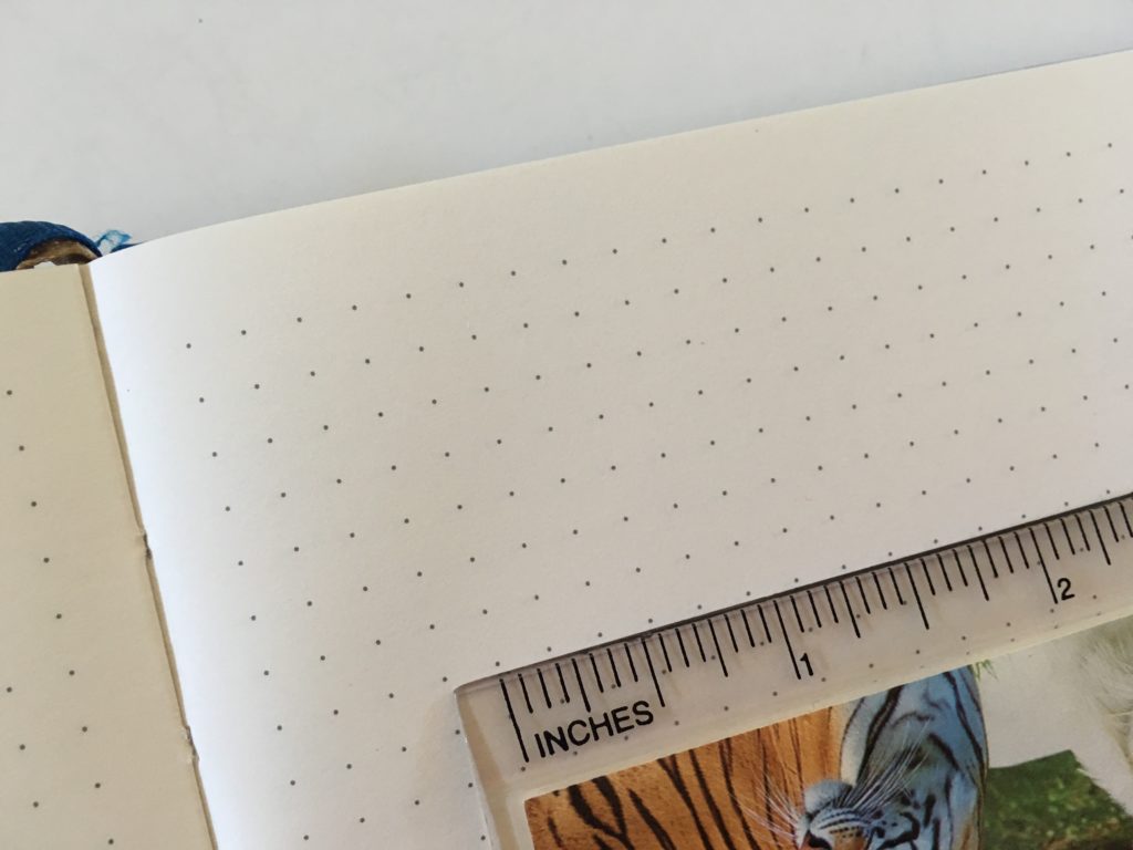 little more notebook dot grid review pros and cons video