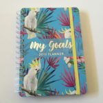 Otto A5 My Goals Weekly Planner Review (Pros, Cons & Video Walkthrough)