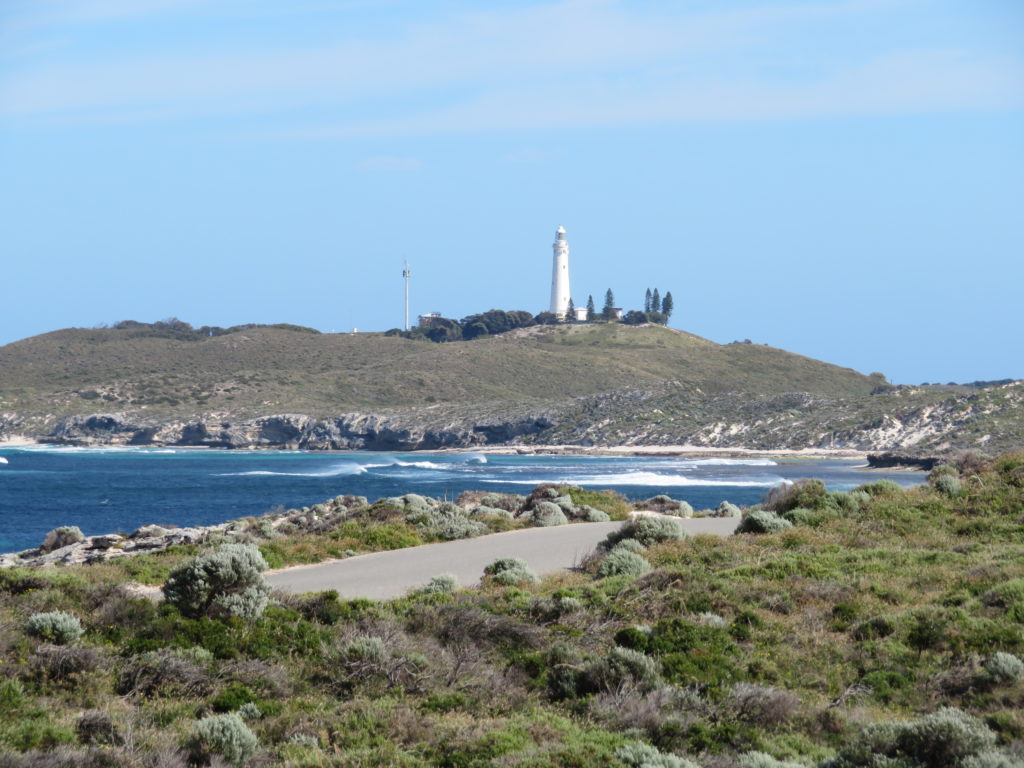 rottnest island day trip from perth itinerary photo spots things to see and do