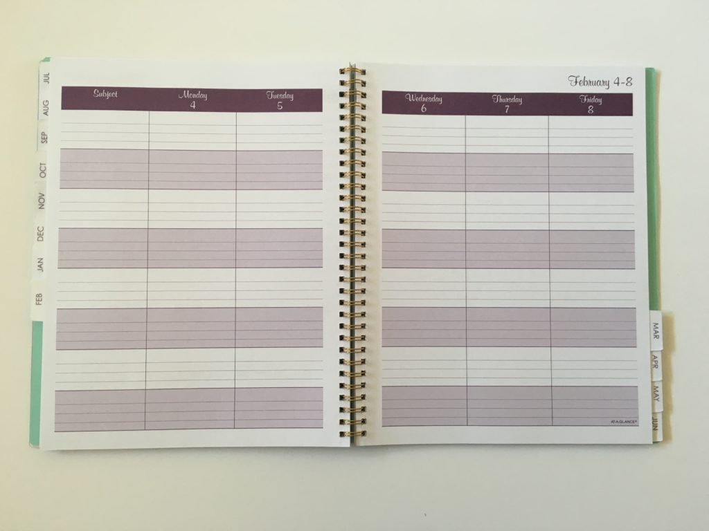 at a glance teacher planner review 5 day week lined writing space colorful functional cheap alternative to erin condren similar to bluesky