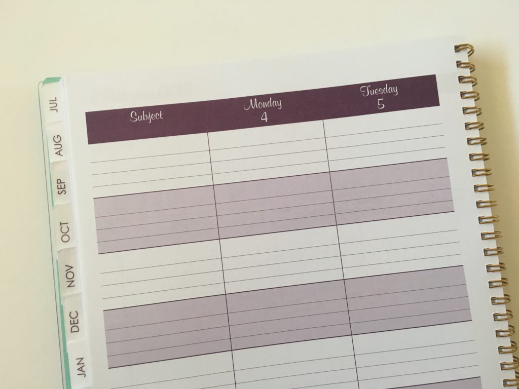 at a glance teacher planner review lined 5 day week school college student ...
