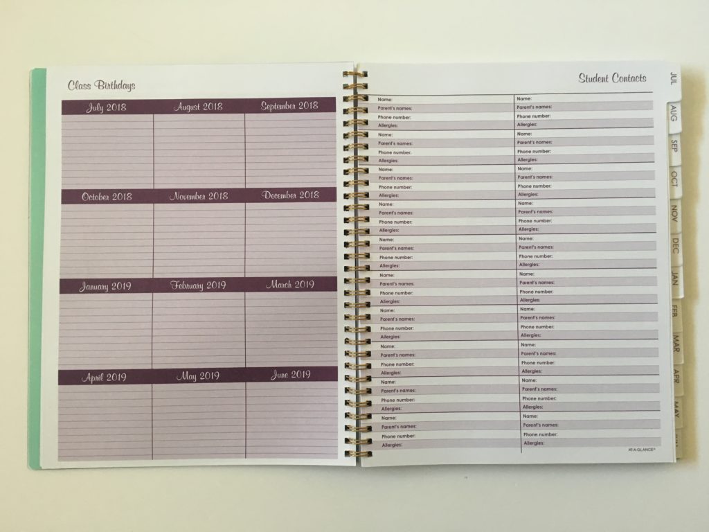 at a glance teacher planner review pros and cons colorful cheaper than erin condren