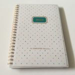Emily Ley Simpified Planner collaboration with At A Glance Review (Pros, Cons & Video Walkthrough)