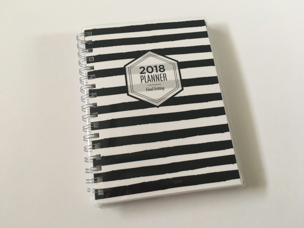 Write Stuff Planning Weekly Planner Review (Pros, Cons & Video Walkthrough)