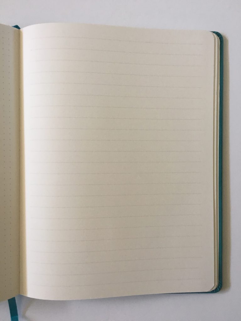 notebook with large line spacing big handwriting bujo siwengde pros and cons video review flipthrough