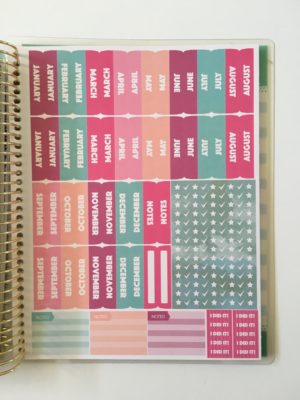 Recollections Goals Planner Review (Pros, Cons and Video Flipthrough) – All About Planners