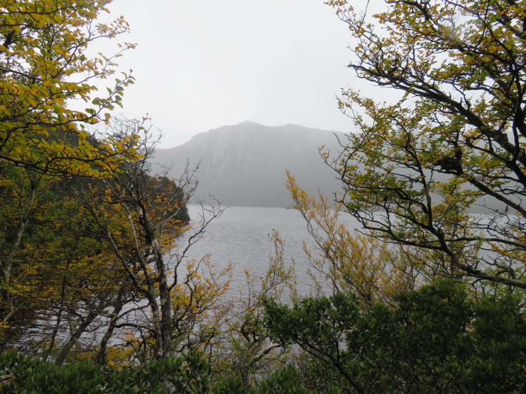 Cradle Mountain tasmania autumn dove lake circuit walking trail is it worth it how to get there