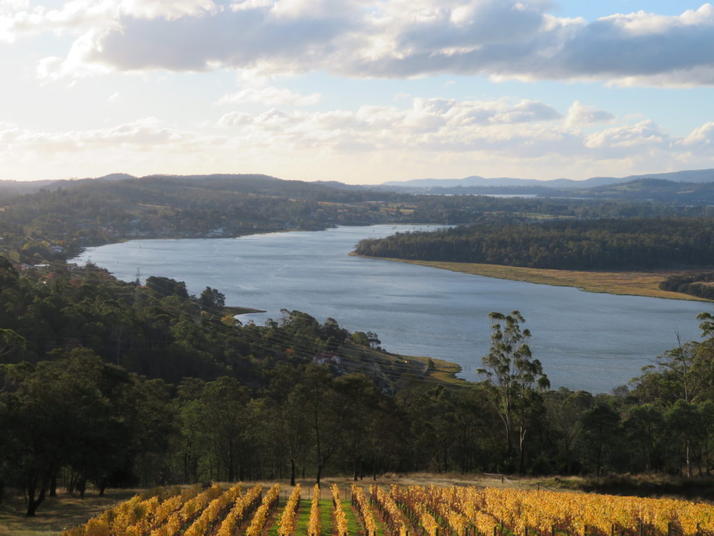tasmania tamar valley brady's lookout viewpoint autumn winery half day trip from launceston