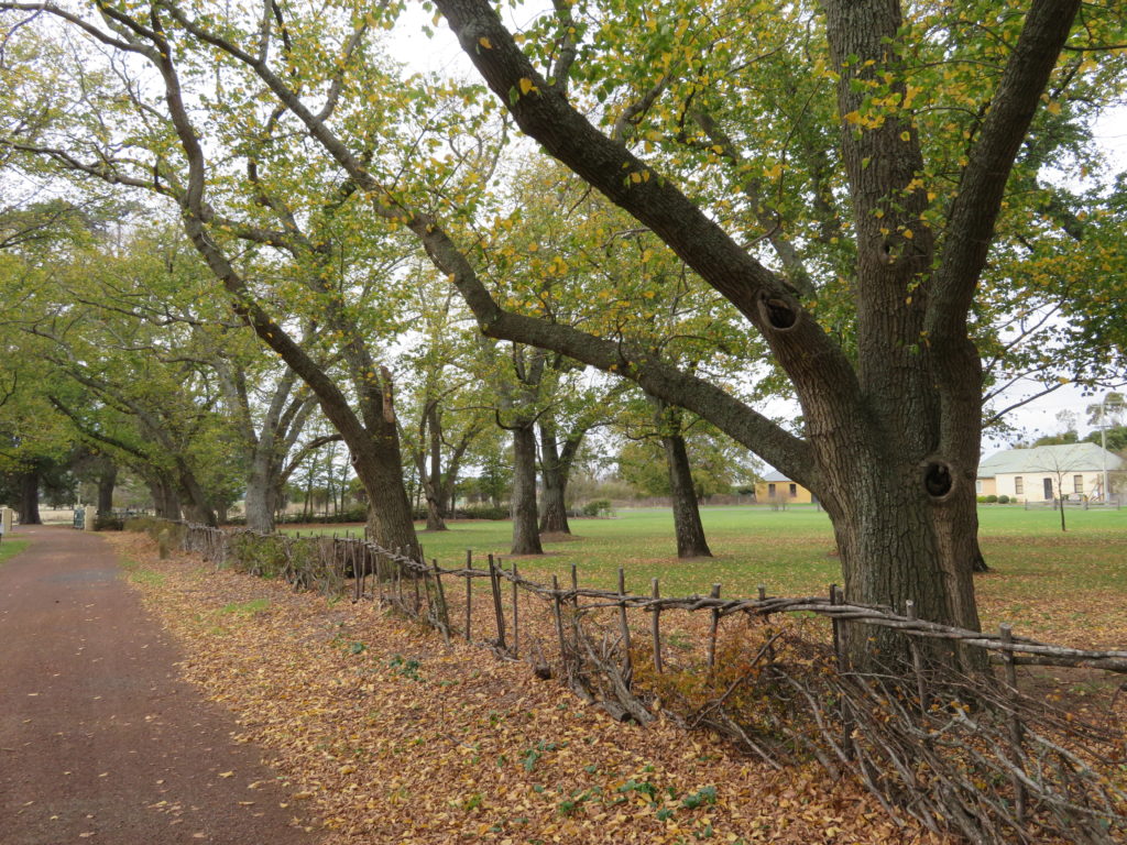 Clarendon House autumn leaves tasmania heritage trail itinerary
