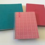 Agendio custom dot grid notebook for bullet journaling (pros, cons & pen testing)