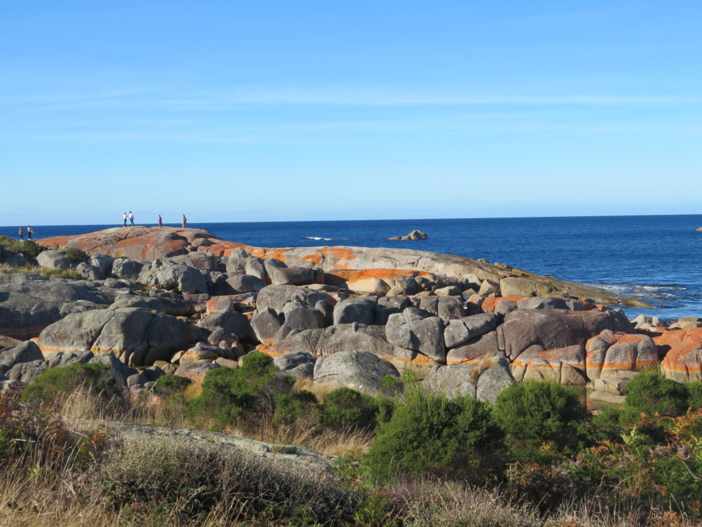 bay of fires national park tasmania red rocks great eastern drive road trip itinerary