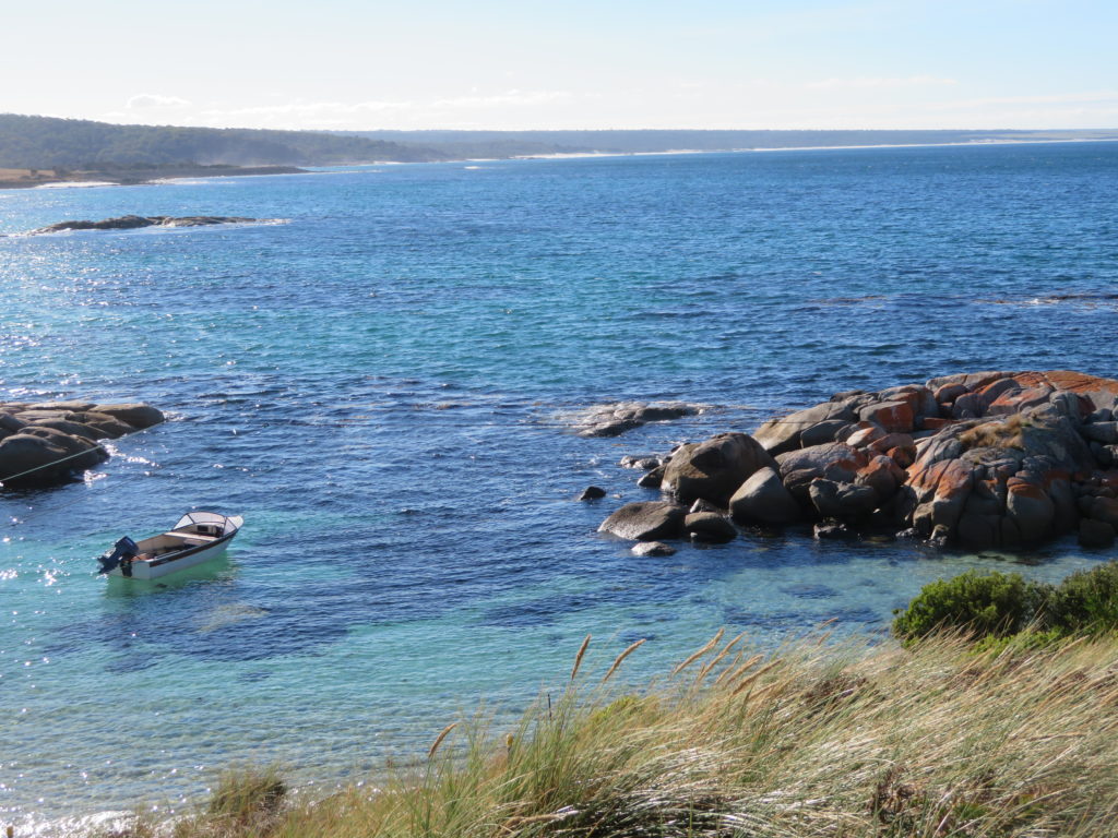 bay of fires national park tasmanias east coast half day trip from st helens