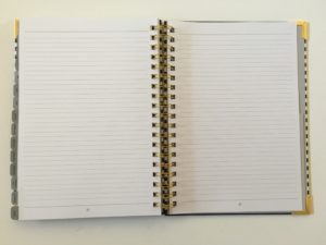 Peacock Paper Essentials Daily Planner (Pros, Cons &amp; Video Walkthrough ...