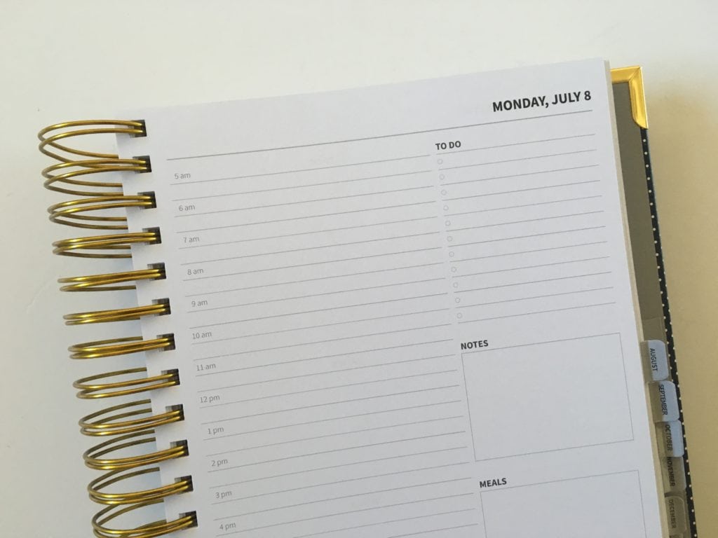 Peacock Paper Essentials Daily Planner (Pros, Cons &amp; Video Walkthrough ...