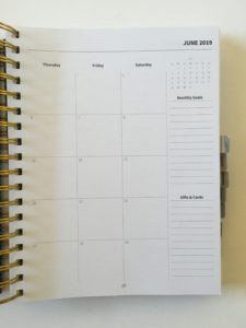 Peacock Paper Essentials Daily Planner (Pros, Cons &amp; Video Walkthrough ...