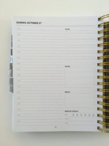 Peacock Paper Essentials Daily Planner (Pros, Cons &amp; Video Walkthrough ...