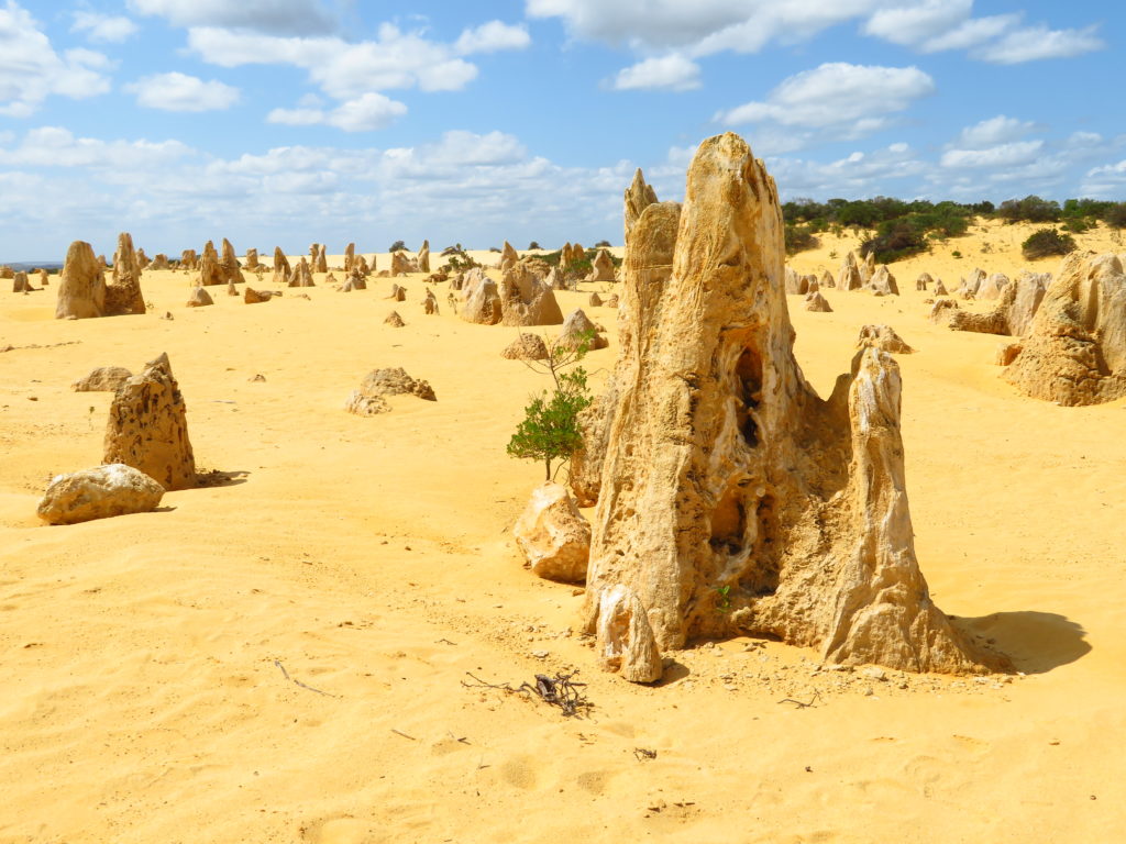 the pinnacles desert day trip from Perth itinerary driving time