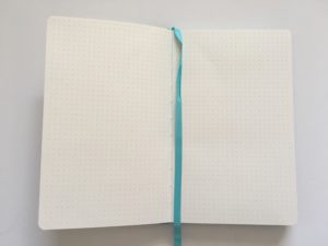 Poluma Dot Grid Notebook Review (Including Pen Test) – All About Planners
