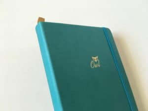 Buke stationery dot grid notebook review (pros, cons and pen testing ...