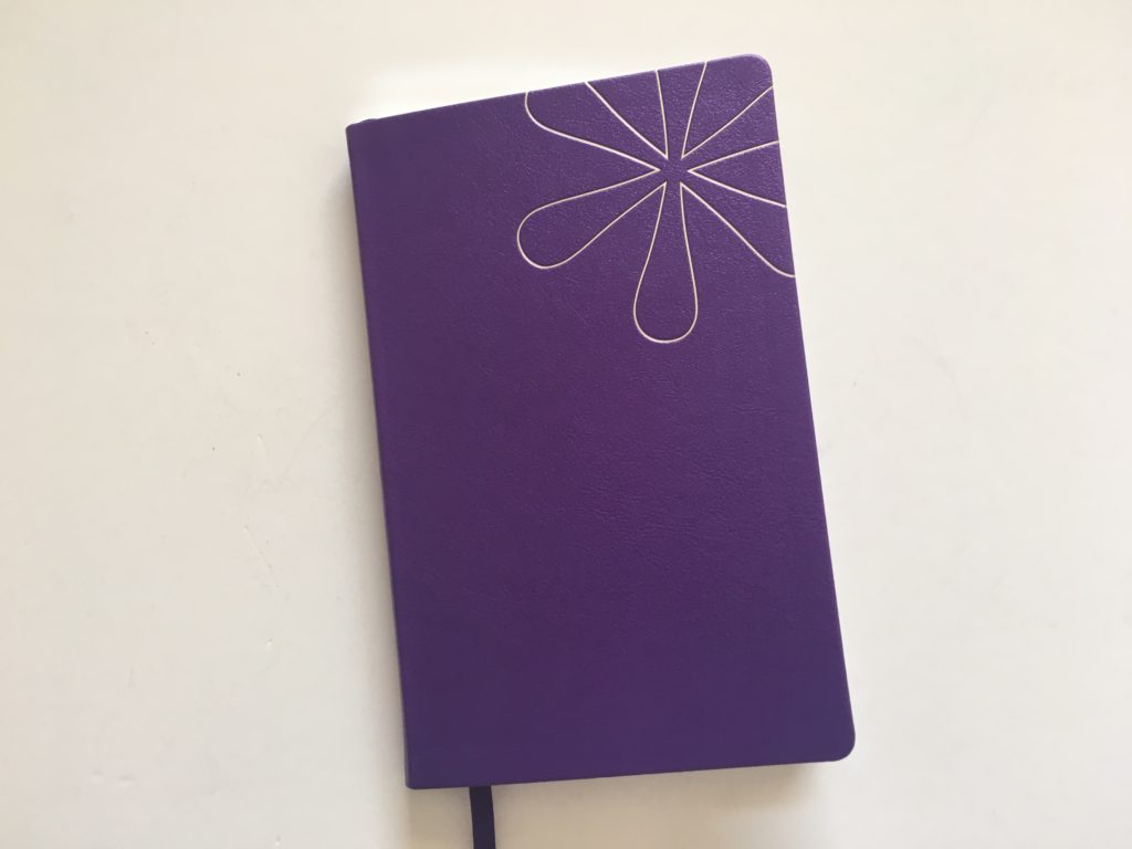 erin condren dot grid softbound notebook review video pros and cons