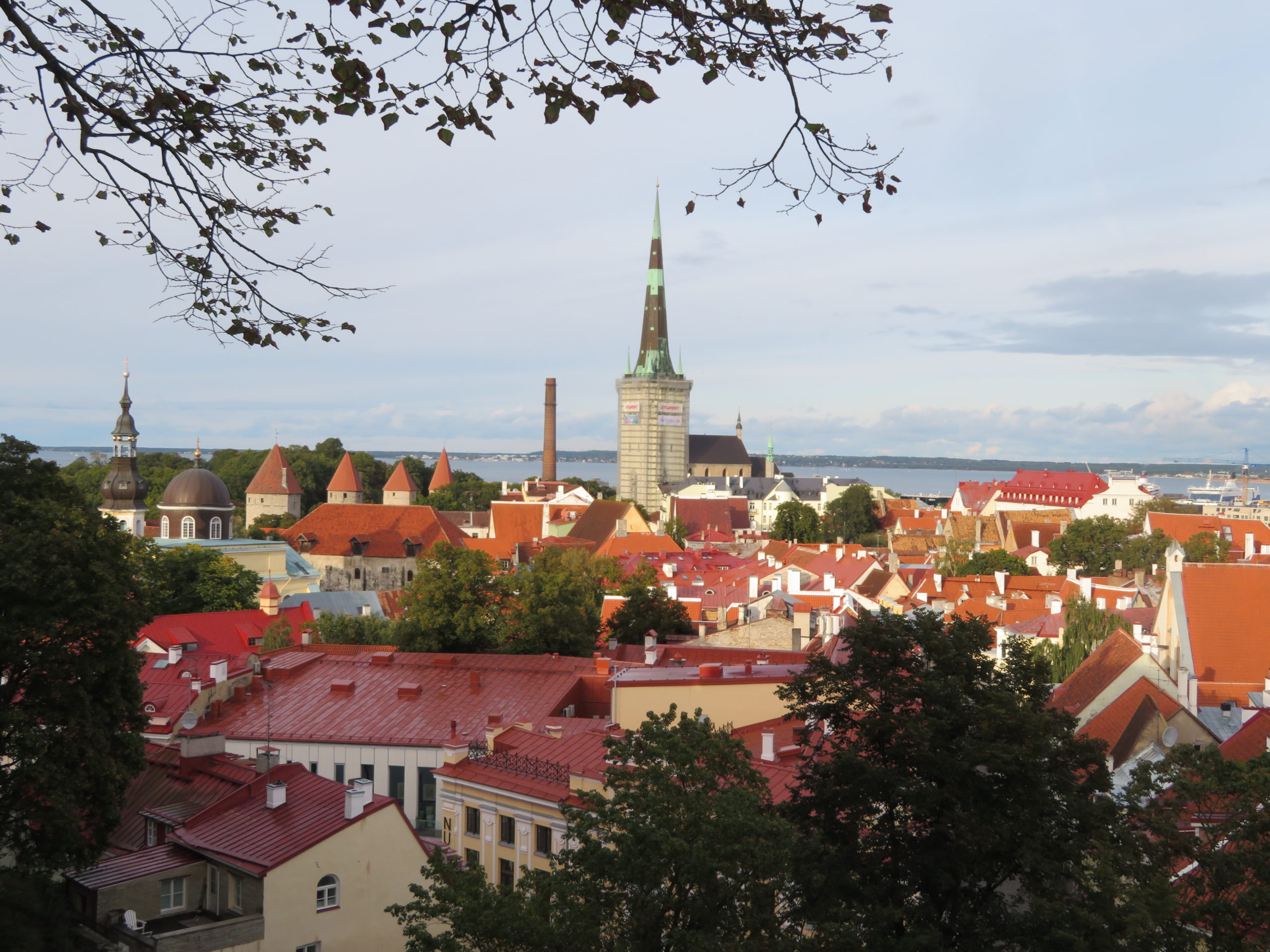tallin estonia best viewpoints in the old town Kohtuotsa viewing platform things to see and do itinerary