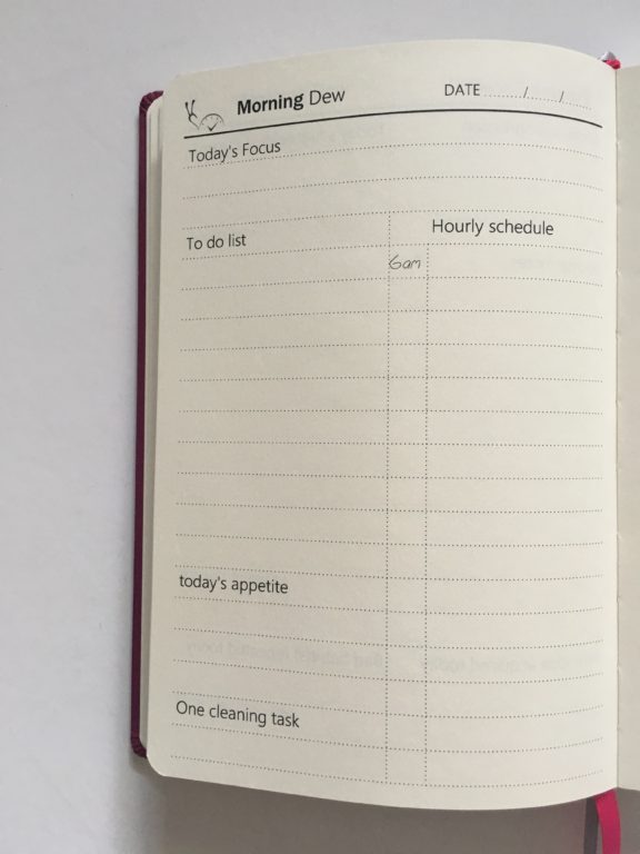 time and snail daily weekly planner review undated 100 daily pages 2 morning plan schedule to do lined cleaning meals focus