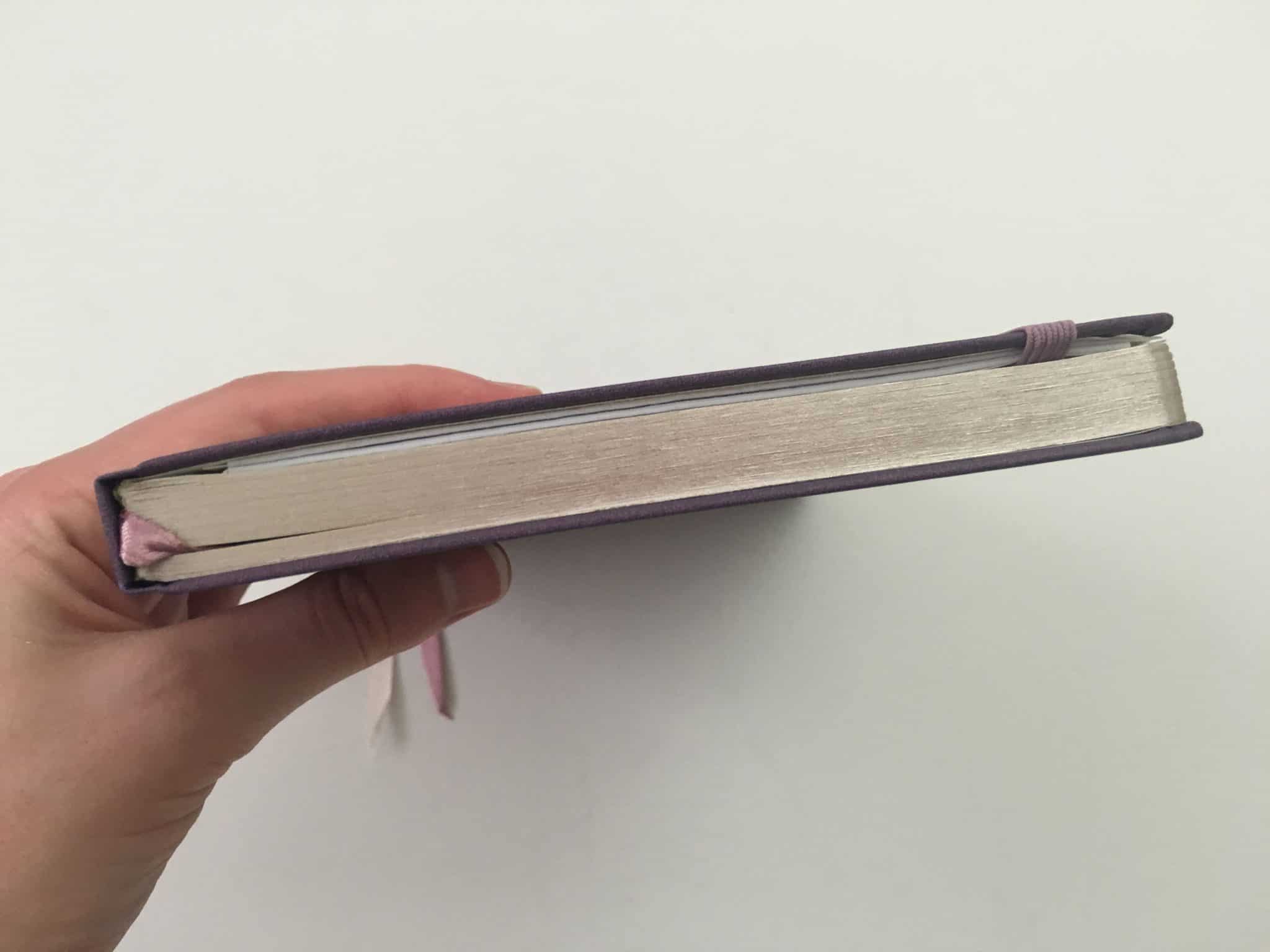 Jumping Fox Designs Dot Grid Notebook Review (Pros, Cons & Pen Testing ...