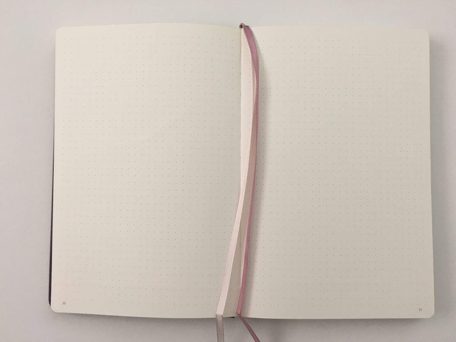 Jumping Fox Designs Dot Grid Notebook Review (Pros, Cons & Pen Testing ...