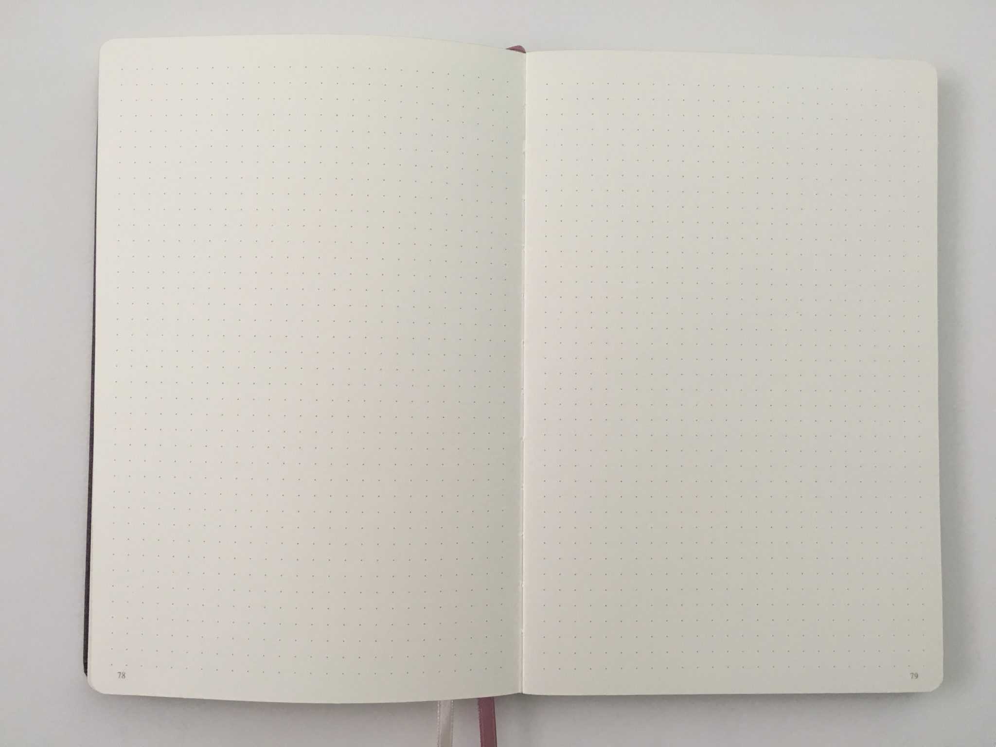 Jumping Fox Designs Dot Grid Notebook Review (Pros, Cons & Pen Testing ...