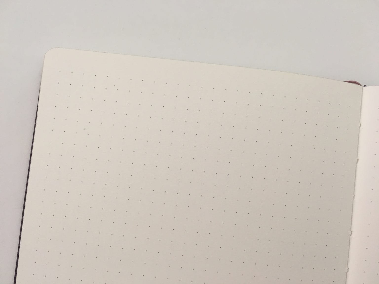 Jumping Fox Designs Dot Grid Notebook Review (Pros, Cons & Pen Testing ...