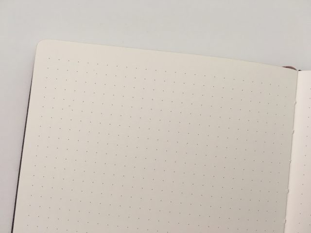 Jumping Fox Designs Dot Grid Notebook Review (Pros, Cons & Pen Testing ...