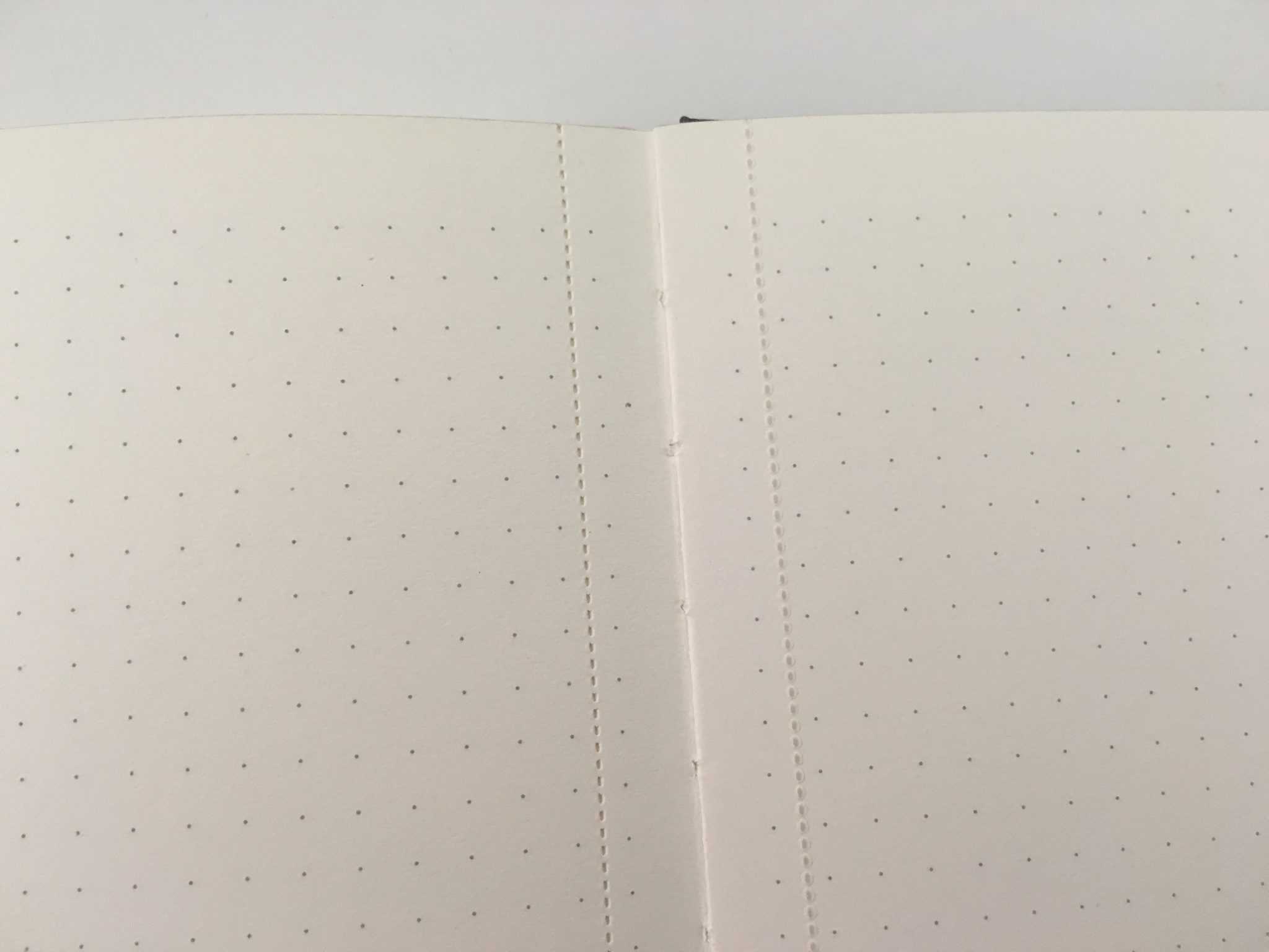 Jumping Fox Designs Dot Grid Notebook Review (Pros, Cons & Pen Testing ...