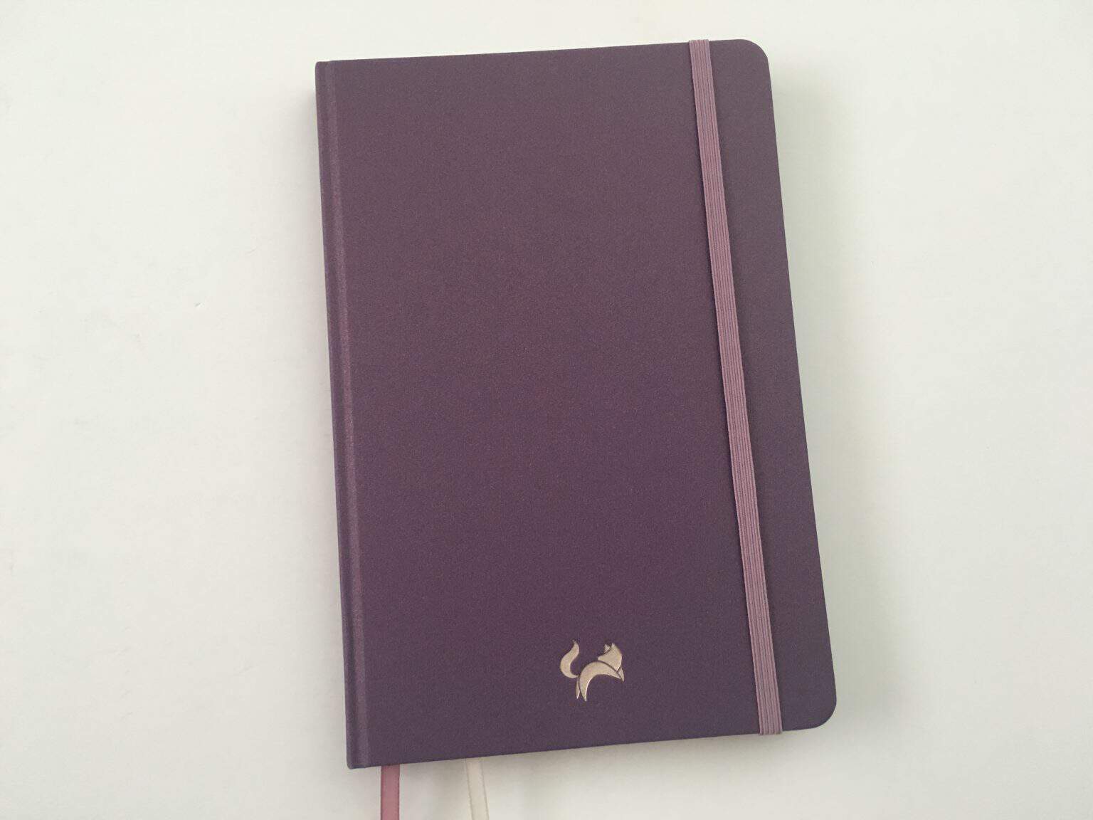 Jumping Fox Designs Dot Grid Notebook Review (Pros, Cons & Pen Testing ...