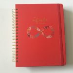 My Infinite Agenda Planner Review (4 pages to plan each week)