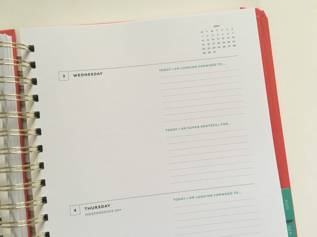 my infinite agenda weekly planner review pros and cons paper quality large page size 4 pages per week plenty of room to write unlined video flipthrough_22