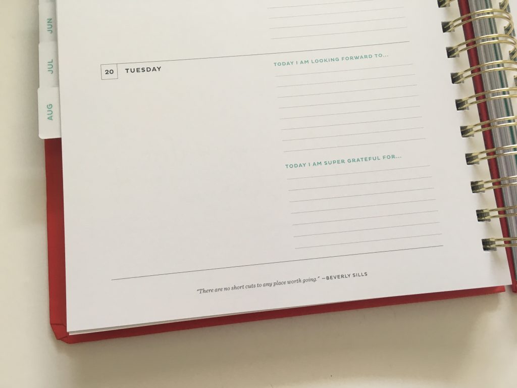 my infinite agenda weekly planner review pros and cons paper quality large page size 4 pages per week plenty of room to write unlined video flipthrough_26