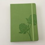 Cloudberry Journal Review (Hybrid bullet journal notebook and planner)