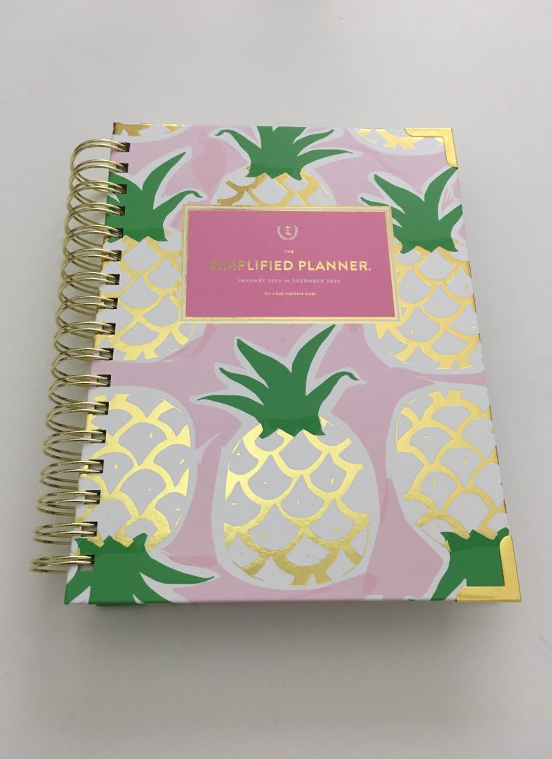 emily ley simplified planner daily day to a page layout tabs gold foil pineapple schedule 6am to 9pm hourly rainbow_35