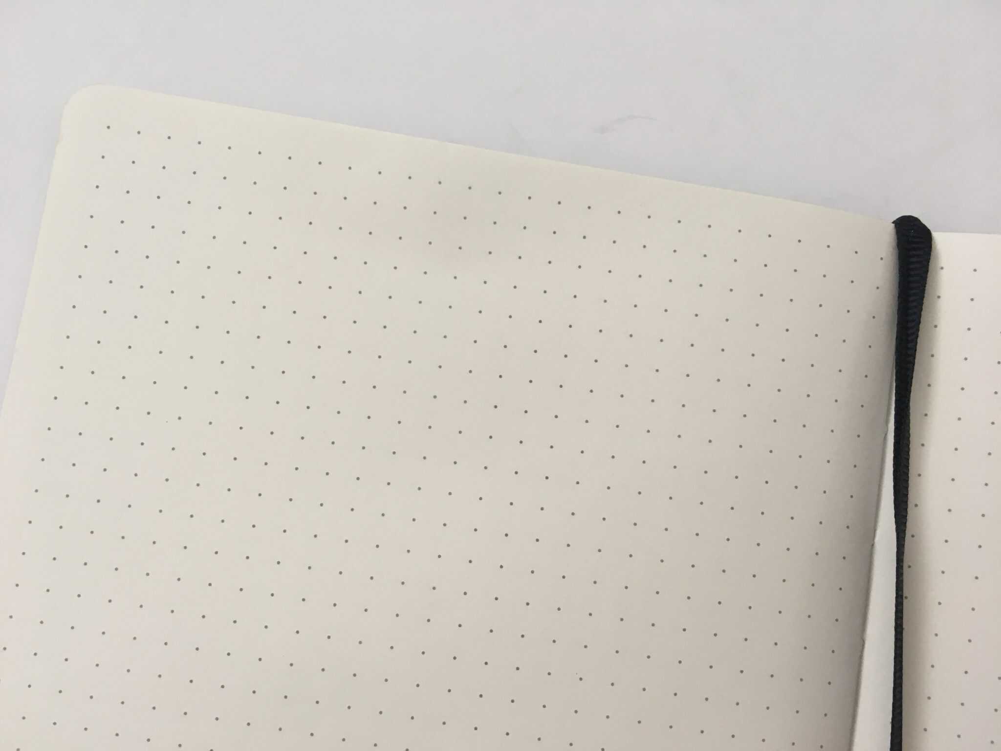 Lemome Dot Grid Notebook Review (Including Pen Test) – All About Planners