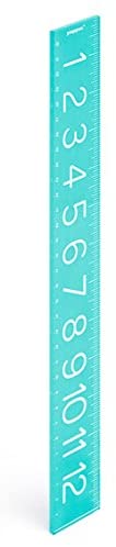 poppin aqua ruler best supplies for planner addicts best ruler for bullet journaling inches cm mm