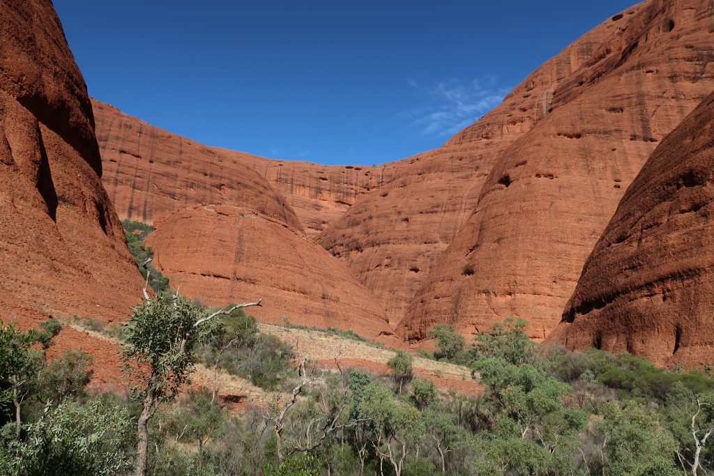 the olgas day trip from yulara best walking trails valley of the winds winter difficulty viewpoints things to see and do