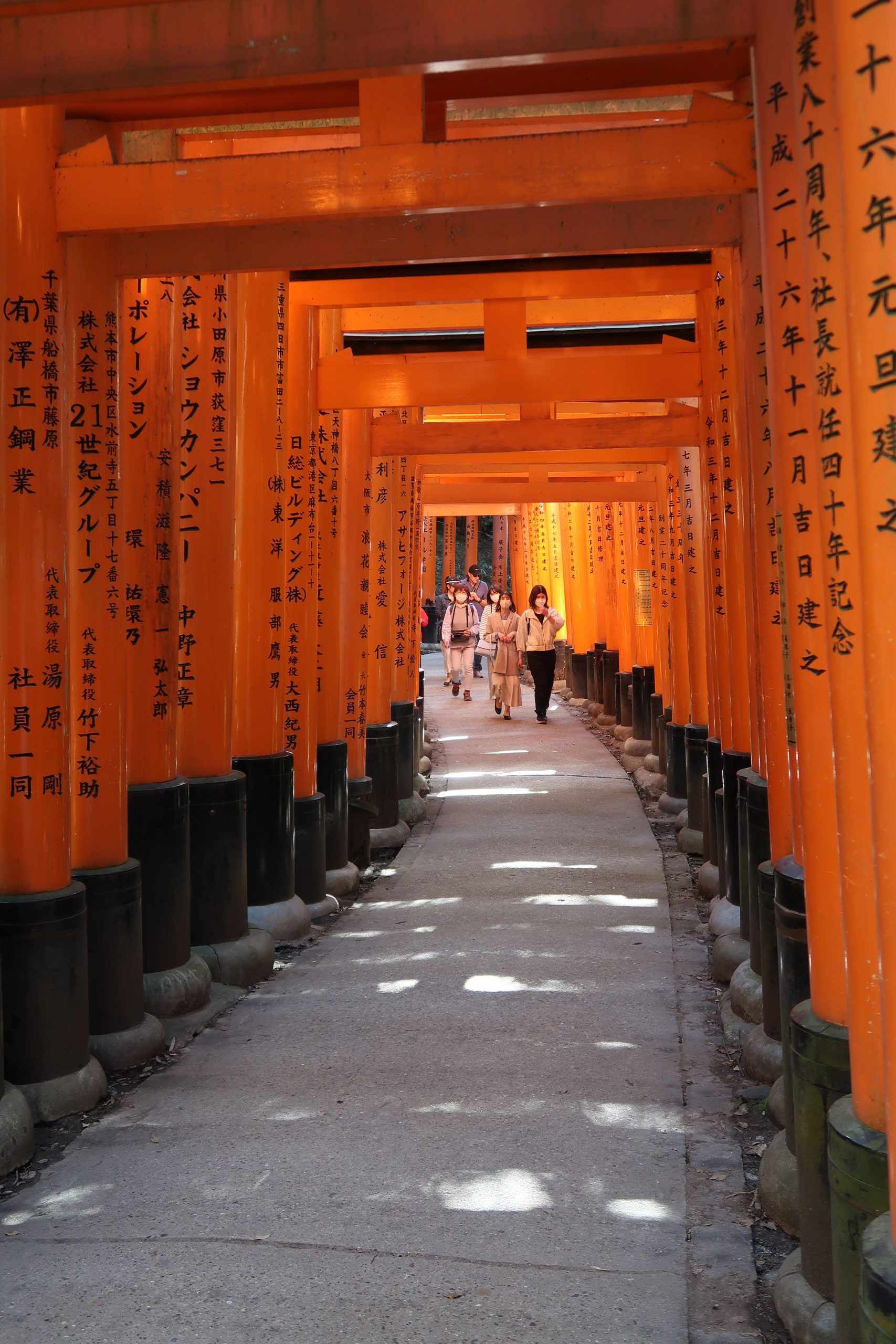 Fushimi Inari Shrine kyoto 1000 torii gates inari red orange gates cherry blossoms itinerary
