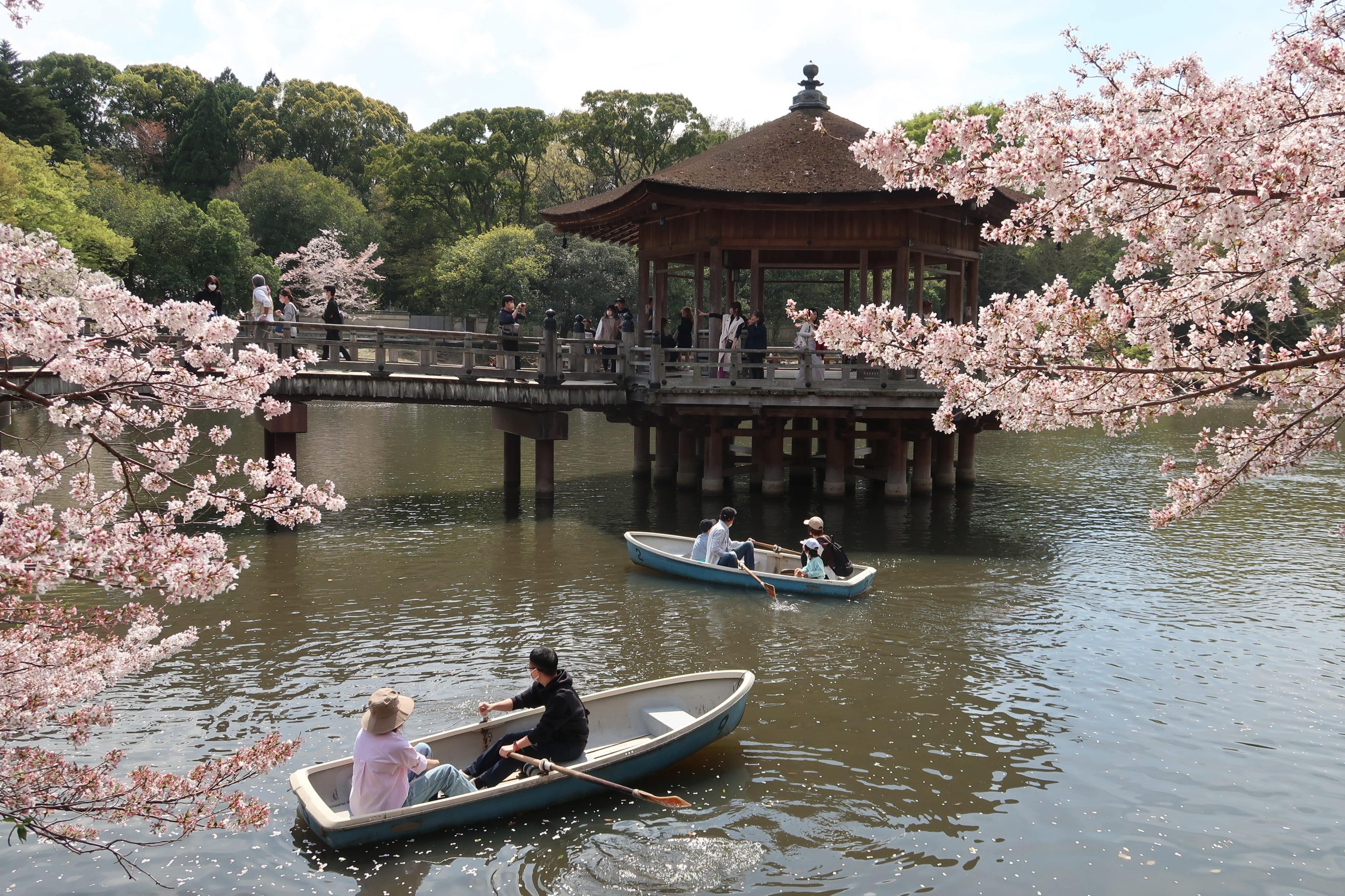nara deer park japan cherry blossoms lake row boats things to see and do osaka day trip from kyoto